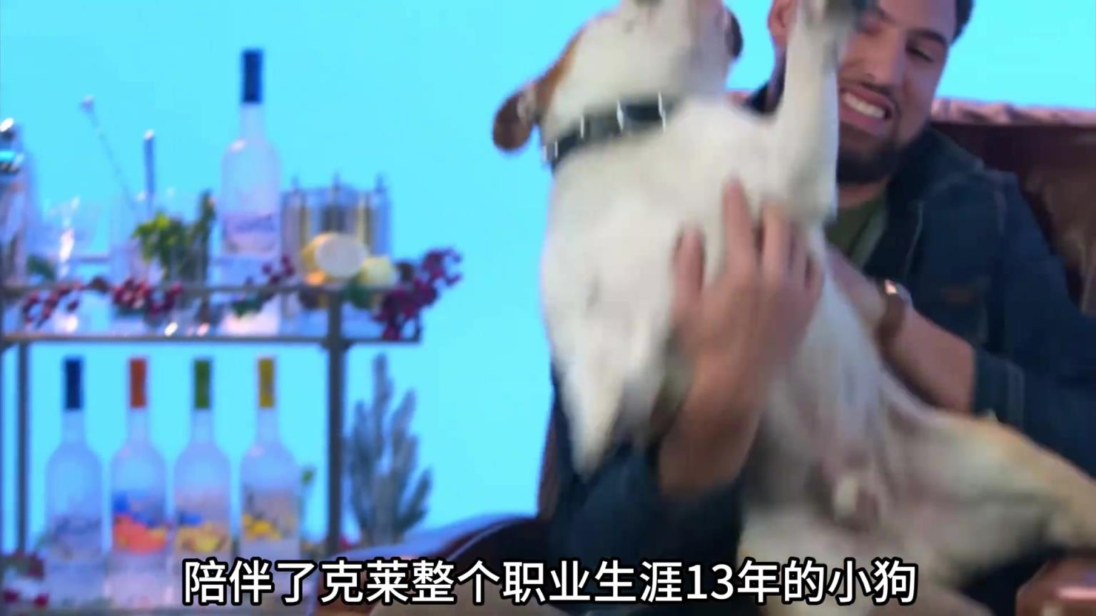 陪伴克萊13年的小狗去世了，不敢相信克萊得多么傷心